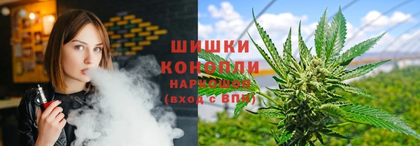сатива Балабаново