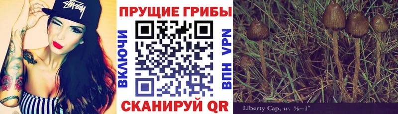 Галлюциногенные грибы ЛСД Ульяновск