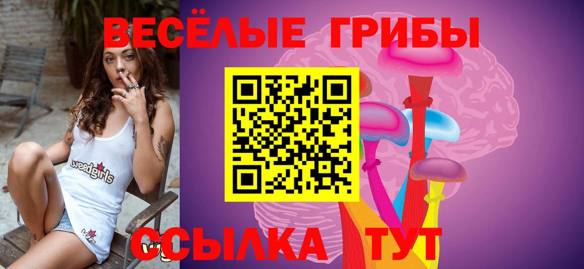 Галлюциногенные грибы прущие грибы  Галлюциногенные грибы Magic Shrooms  Вход с VPN  Ульяновск 